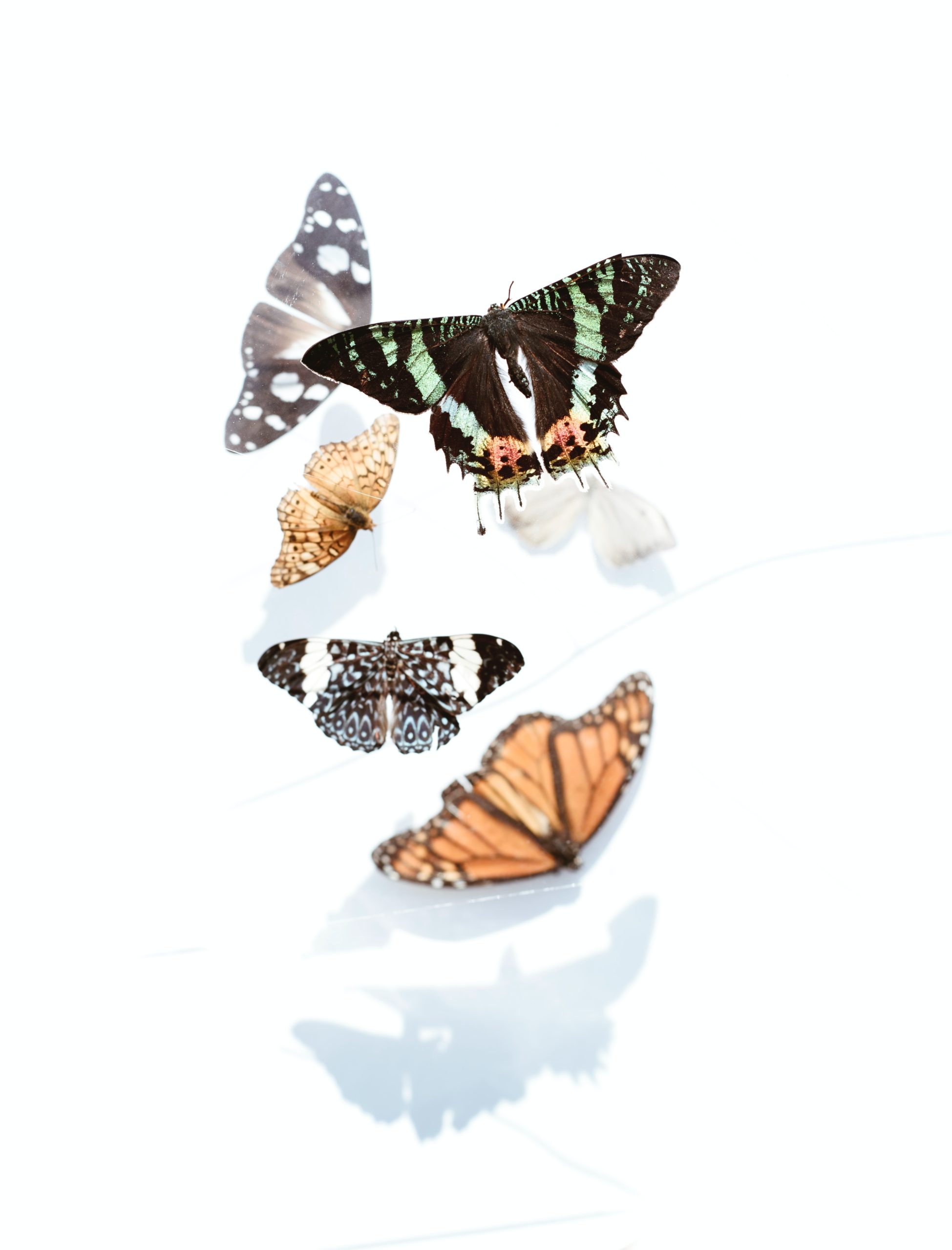 evie-s-XkF8LgDb0do-unsplash
